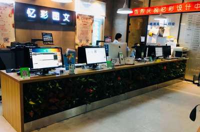 项目验收丨北京忆彩图文及家庭生态植物墙项目顺利完成验收